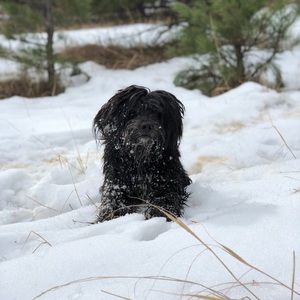 Meet your Posher, Anna